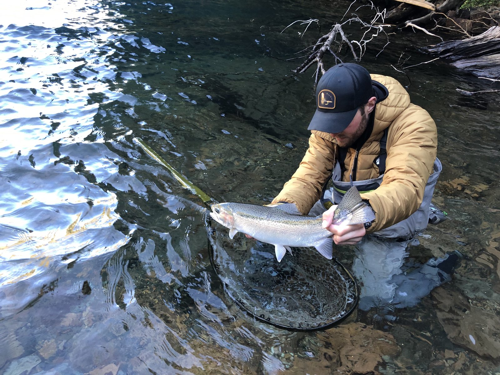 Angler releasing a rainbow trout in crystal-clear Chilean water