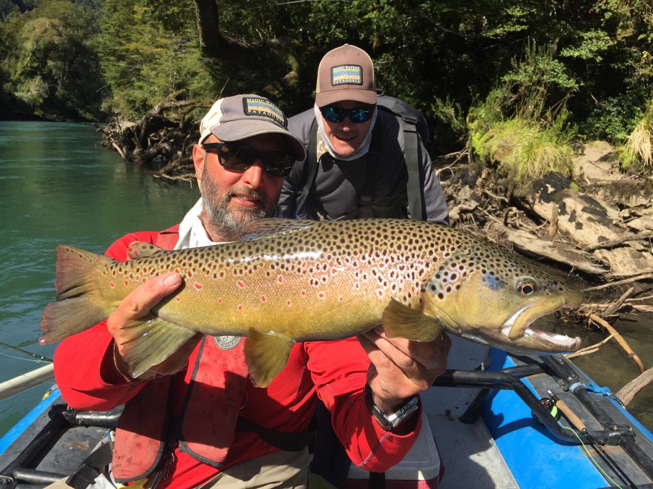 Trophy brown trout on a Magic Waters Chile lodge fly fishing trip